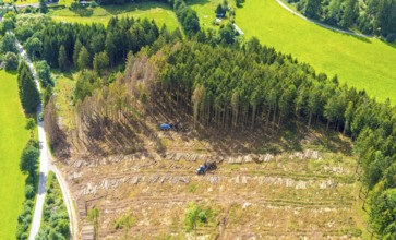 Aerial photo, deforestation, harvester, nature reserve Eidmecketalsystem, Bestwig, Sauerland, North
