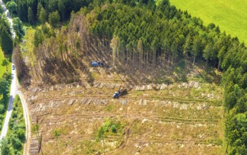 Aerial photo, deforestation, harvester, nature reserve Eidmecketalsystem, Bestwig, Sauerland, North