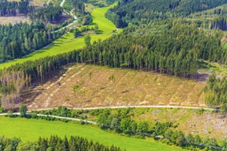 Aerial photo, deforestation, harvester, nature reserve Eidmecketalsystem, Bestwig, Sauerland, North