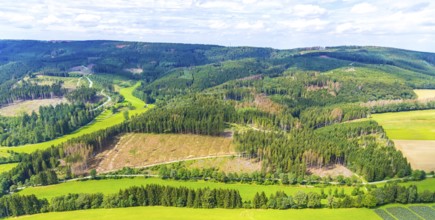 Aerial photo, deforestation, harvester, nature reserve Eidmecketalsystem, Bestwig, Sauerland, North