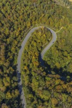 Aerial view, serpentine road in forest area, north of Jakobsberg, Beverungen, East