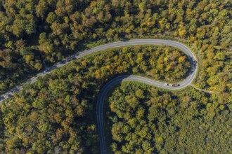 Aerial view, serpentine road in forest area, north of Jakobsberg, Beverungen, East