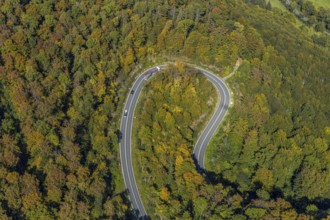 Aerial view, serpentine road in forest area, north of Jakobsberg, Beverungen, East