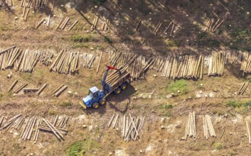 Aerial photo, deforestation, harvester, nature reserve Eidmecketalsystem, Bestwig, Sauerland, North
