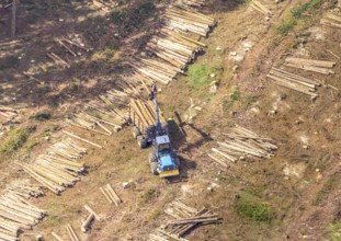 Aerial photo, deforestation, harvester, nature reserve Eidmecketalsystem, Bestwig, Sauerland, North