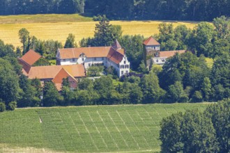 Aerial photograph, Haus Hameren, former moated castle, Billerbeck, Münsterland, North