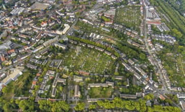 Aerial view, allotment garden site Friedlicher Nachbar, Hüllerstraße, allotment garden association