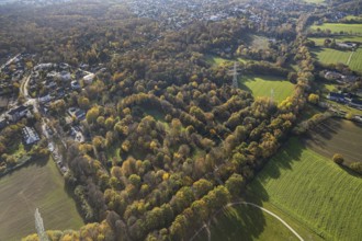 Weitmarer Holz, Weitmar-Mark, Bochum, Ruhr area, North Rhine-Westphalia, Germany, DE, Europe,