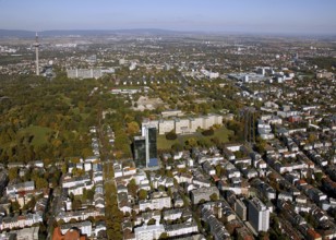 Frankfurt, skyline, skyscrapers, Deutsche Bank, DEU Germany Germany, Europe, aerial view,