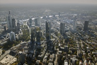 Frankfurt, skyline, skyscrapers, Deutsche Bank, DEU Germany Germany, Europe, aerial view,