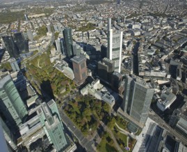 Frankfurt, skyline, skyscrapers, Deutsche Bank, DEU Germany Germany, Europe, aerial view,