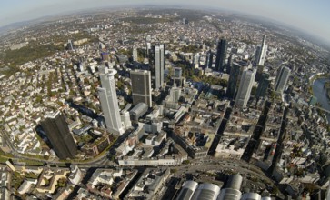 Frankfurt, skyline, skyscrapers, Deutsche Bank, DEU Germany Germany, Europe, aerial view,
