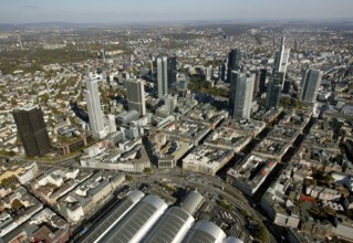 Frankfurt, skyline, skyscrapers, Deutsche Bank, DEU Germany Germany, Europe, aerial view,