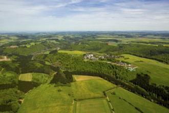 Steinfeld Monastery, monastery in Kall, Benedictine Abbey, Kall, Eifel, North Rhine-Westphalia,