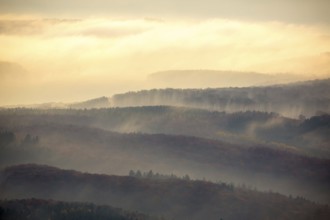 Forests of the Middle Rhine Taunus in the fog, Taunus, forest, Dachsenhausen, Rhine Valley,