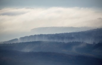Forests of the Middle Rhine Taunus in the fog, Taunus, forest, Dachsenhausen, Rhine Valley,