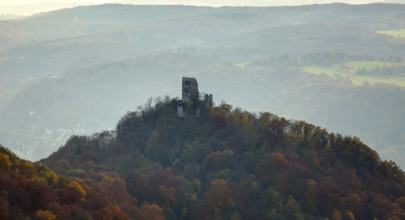 Drachenfels castle ruins, Rhine valley, Rhine, colourful autumn leaves, autumn forest,