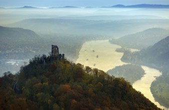 Drachenfels castle ruins against the backdrop of the Rhine, Rhine valley, Rhine, colourful autumn