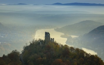 Drachenfels castle ruins against the backdrop of the Rhine, Rhine valley, Rhine, colourful autumn