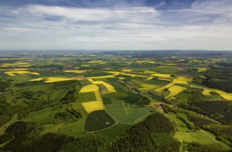 Agricultural fields and rape fields near Heimbach, Heimbach, Eifel, North Rhine-Westphalia,