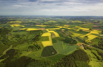 Agricultural fields and rape fields near Heimbach, Heimbach, Eifel, North Rhine-Westphalia,