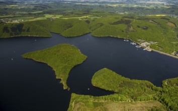 Rurstausee, Rurtalsperre Schwammenauel second largest reservoir in Germany, Heimbach, Eifel, North