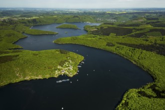 Rurstausee, Rurtalsperre Schwammenauel second largest reservoir in Germany, Simmerath, Eifel, North