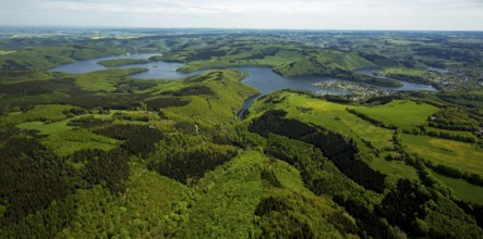 Rurstausee, Rurtalsperre Schwammenauel second largest reservoir in Germany, Simmerath, Eifel, North