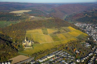 Vineyards in autumn, vine leaves, late harvest, Arensfels Castle, owned by Baron Antonius Geyr von