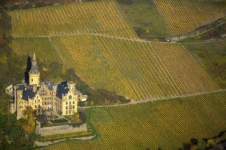Vineyards in autumn, vine leaves, late harvest, Arensfels Castle, owned by Baron Antonius Geyr von