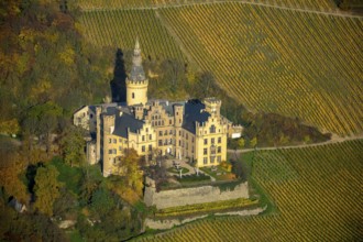 Vineyards in autumn, vine leaves, late harvest, Arensfels Castle, owned by Baron Antonius Geyr von