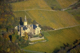 Vineyards in autumn, vine leaves, late harvest, Arensfels Castle, owned by Baron Antonius Geyr von