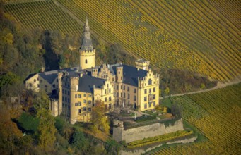 Vineyards in autumn, vine leaves, late harvest, Arensfels Castle, owned by Baron Antonius Geyr von