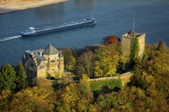 Rheineck Castle in the Rhine Valley, Rhine, autumn leaves, ship, freighter, inland navigation, gas