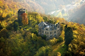Rheineck Castle in the Rhine Valley, Rhine, autumn foliage, Bad Breisig, Ahrweiler district,
