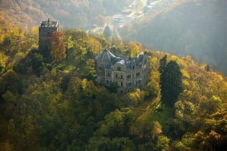Rheineck Castle in the Rhine Valley, Rhine, autumn foliage, Bad Breisig, Ahrweiler district,