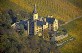 Vineyards in autumn, vine leaves, late harvest, Arensfels Castle, owned by Baron Antonius Geyr von