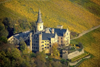 Vineyards in autumn, vine leaves, late harvest, Arensfels Castle, owned by Baron Antonius Geyr von
