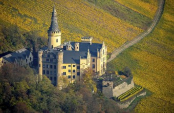 Vineyards in autumn, vine leaves, late harvest, Arensfels Castle, owned by Baron Antonius Geyr von