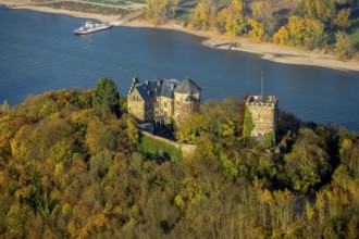 Rheineck Castle in the Rhine Valley, Rhine, autumn foliage, Bad Breisig, Ahrweiler district,