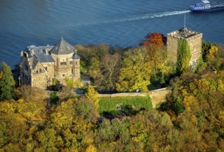 Rheineck Castle in the Rhine Valley, Rhine, autumn foliage, Bad Breisig, Ahrweiler district,