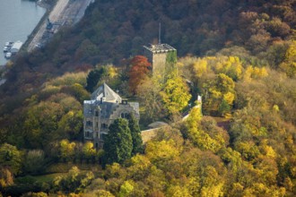Rheineck Castle in the Rhine Valley, Rhine, autumn foliage, Bad Breisig, Ahrweiler district,