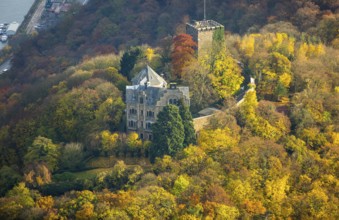 Rheineck Castle in the Rhine Valley, Rhine, autumn foliage, Bad Breisig, Ahrweiler district,
