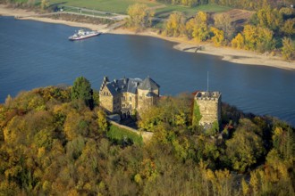Rheineck Castle in the Rhine Valley, Rhine, autumn foliage, Bad Breisig, Ahrweiler district,