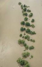 Aerial photograph, Ruhr floods, rows of trees in the Ruhr water, flooding, Blankenstein, Hattingen,