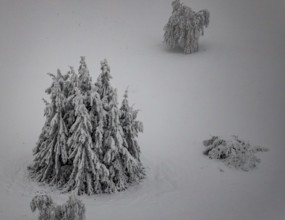 Aerial view of the snowy winter landscape of Winterberg below the Kahler Asten with snow-covered