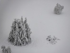Aerial view of the snowy winter landscape of Winterberg below the Kahler Asten with snow-covered