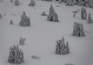 Aerial view of the snowy winter landscape of Winterberg below the Kahler Asten with snow-covered