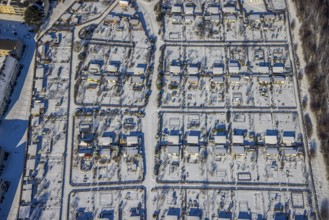Aerial view, allotment garden association, Goethestrasse, Annen, Witten, Ruhr area, North