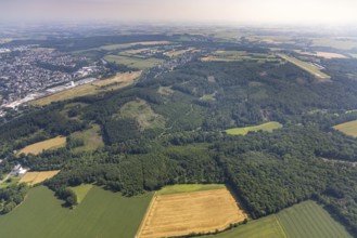 Aerial view, forest damage, forest damage at Mühlenbach, Wimbern, Wickede, Sauerland, North